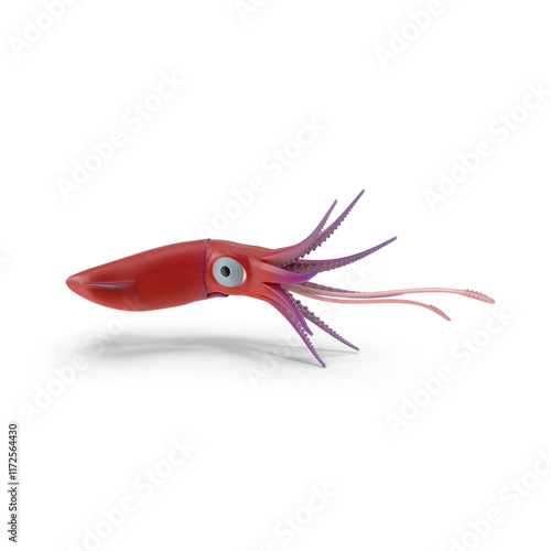 Squid PNG photo