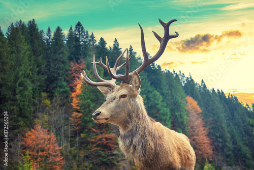 Portrait of a deer in a mountain forest during sunset