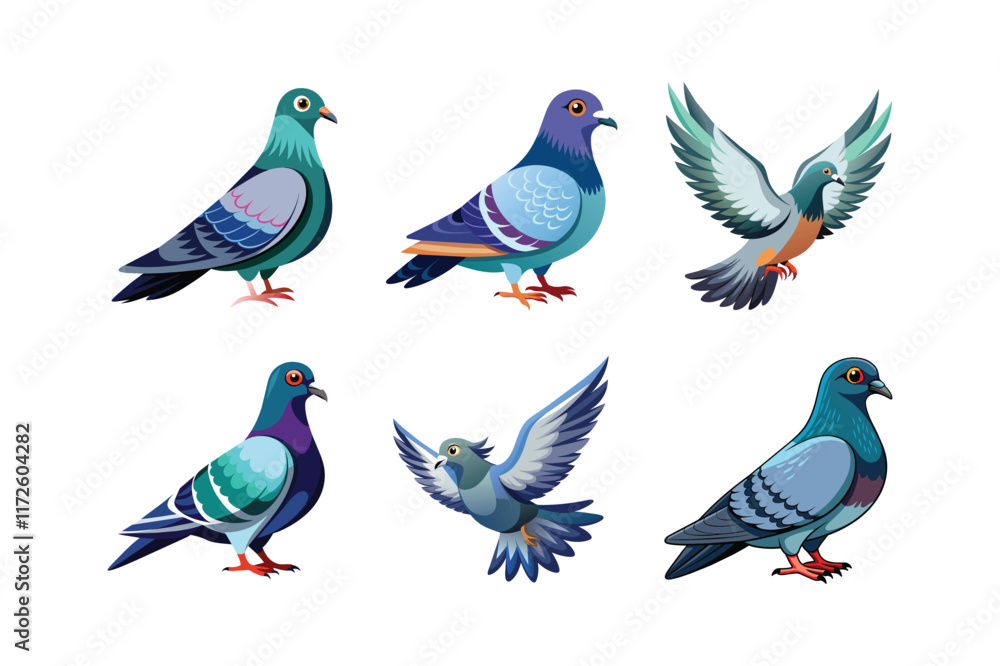 nicobar pigeon vector art illustration