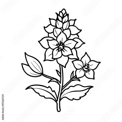 Delphinium flower with stem and leaves line art  vector on  white background.