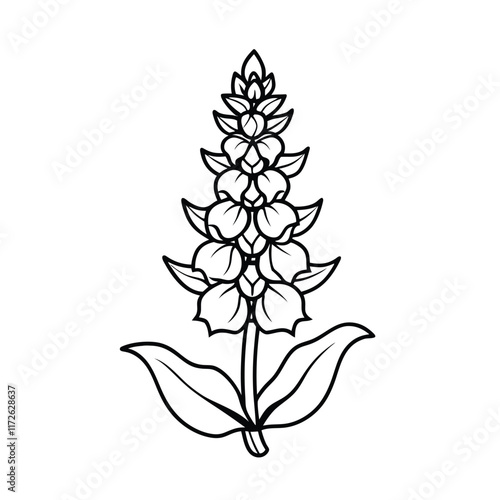 Delphinium flower with stem and leaves line art  vector on  white background.