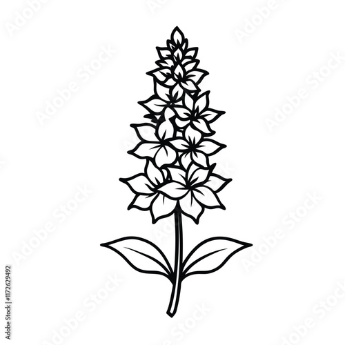 Delphinium flower with stem and leaves line art  vector on  white background.