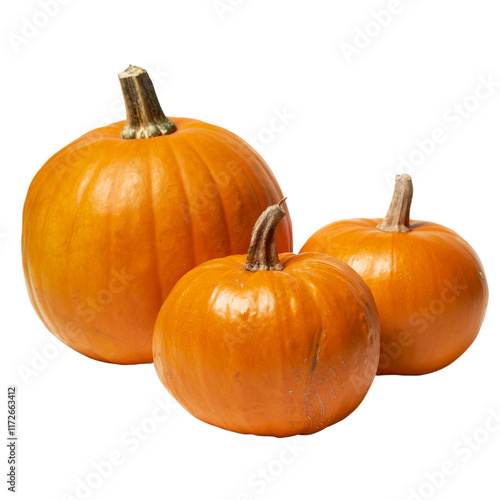 pumpkin ; isolated on a transparent background