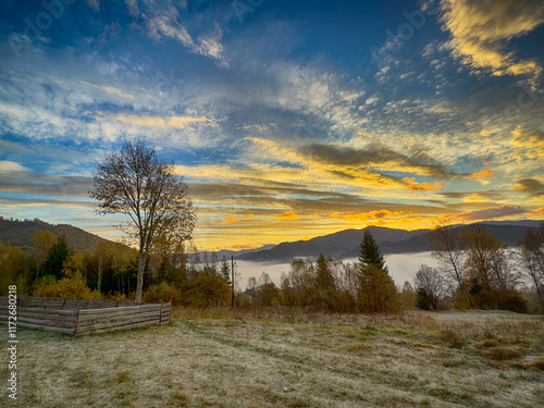 Wallpaper Mural The landscape of Carpathian Mountains in the sunny weather. Perfect weather condition in the autumn season Torontodigital.ca