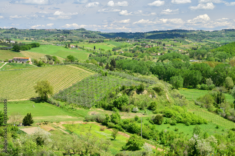 Fototapeta premium Campagne toscane, vue depuis une terrasse de Certaldo Alto