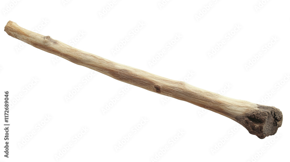 A simple natural wooden stick, isolated on transparent background A simple natural wooden stick, isolated on transparent background