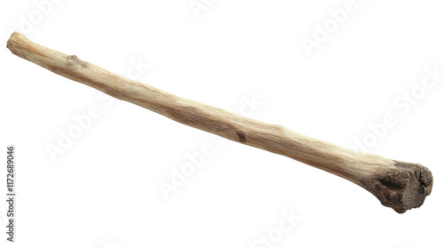 A simple natural wooden stick, isolated on transparent background