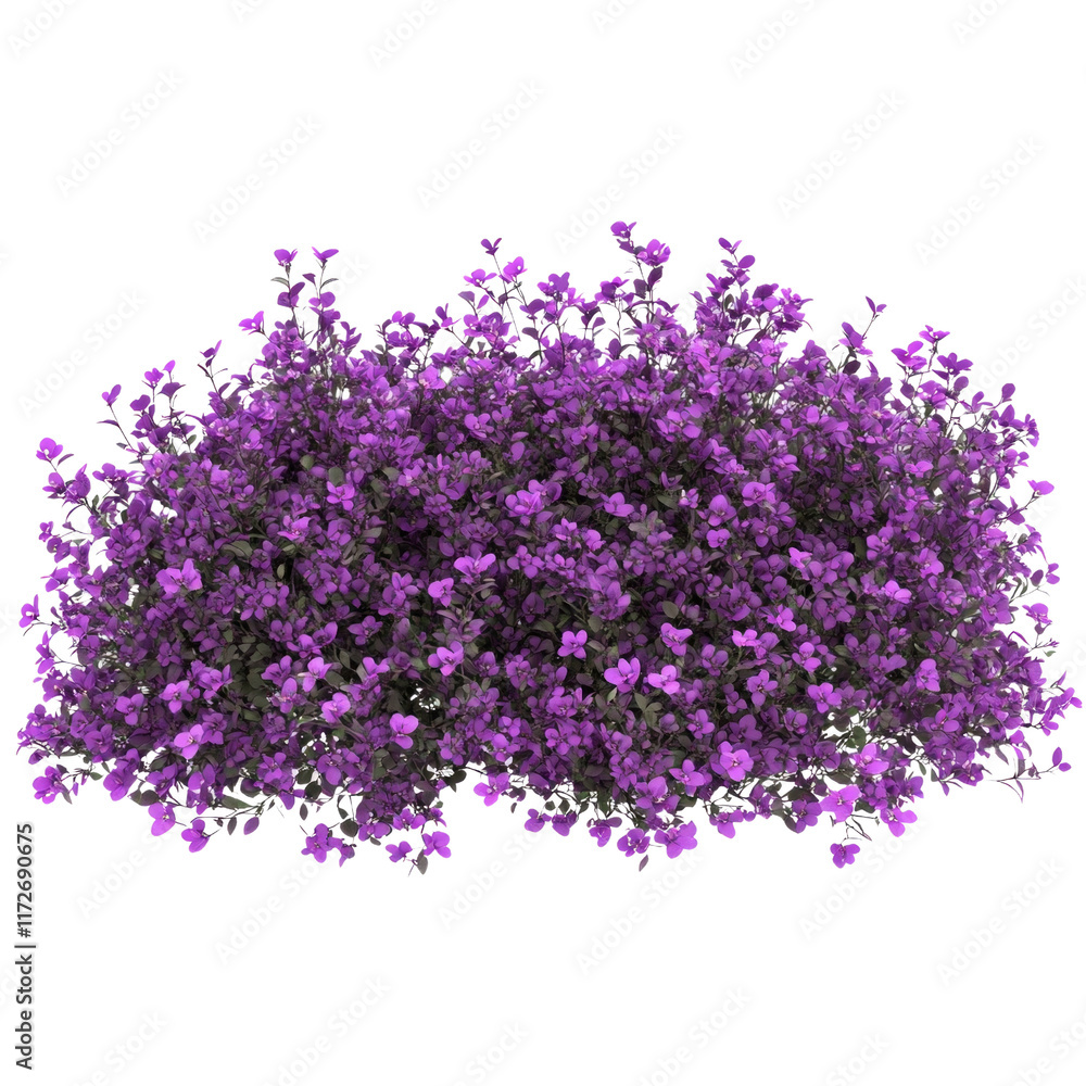 Fototapeta premium A purple bush with purple flowers