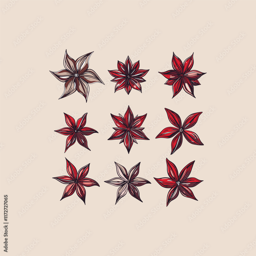Star anise spices design vector template Star anise spices design vector template