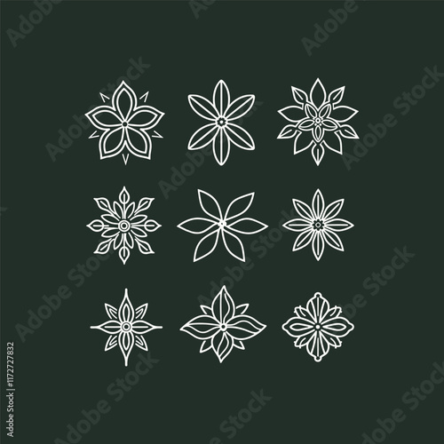 Star anise spices design vector template