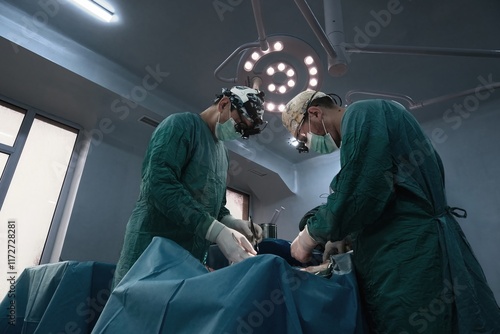 Two surgeons are performing an operation photo