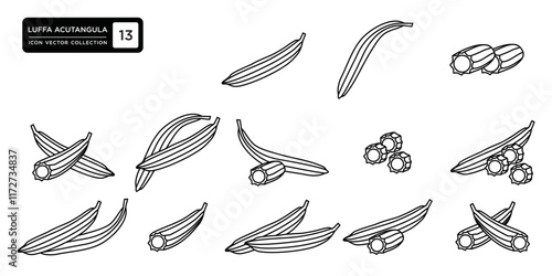 Luffa acutangula fruit icon collection, vector icon templates are editable and resizable. photo