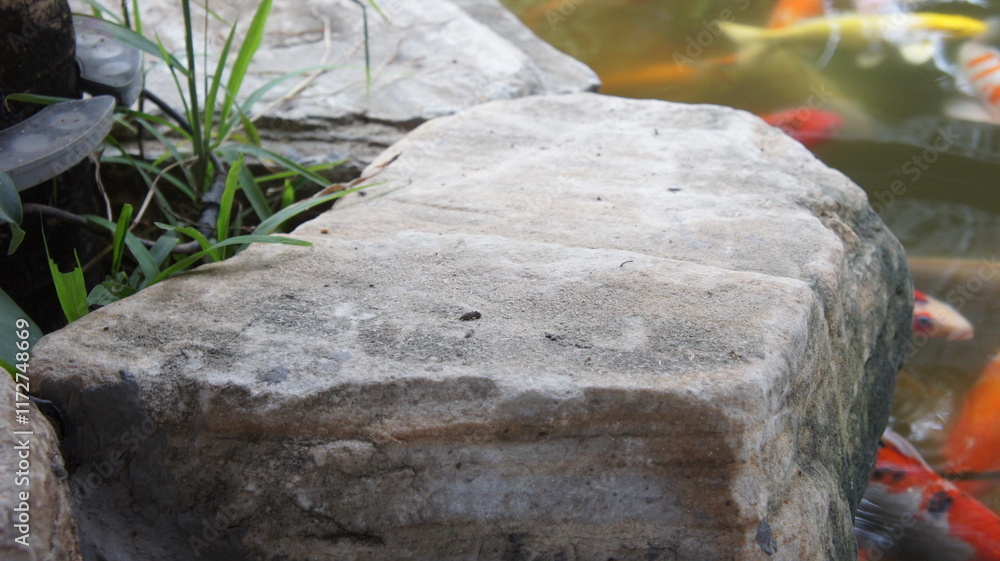 Large Grey Stone by Koi Pond Large Grey Stone by Koi Pond