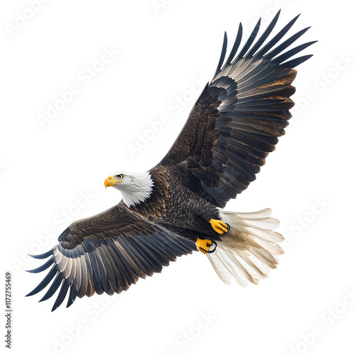 bald eagle flying with spread wings isolated on a white background