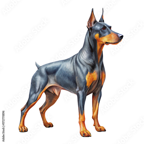 Doberman with smooth fur, depicted in a full-body pose. The dog’s sleek and muscular build is showcased, reflecting its strength and elegance. Ideal for pet illustrations, logos, or digital artwork.