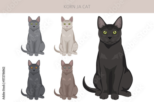 Korn Ja Cat clipart. All coat colors set.  All cat breeds characteristics infographic. Vector illustration