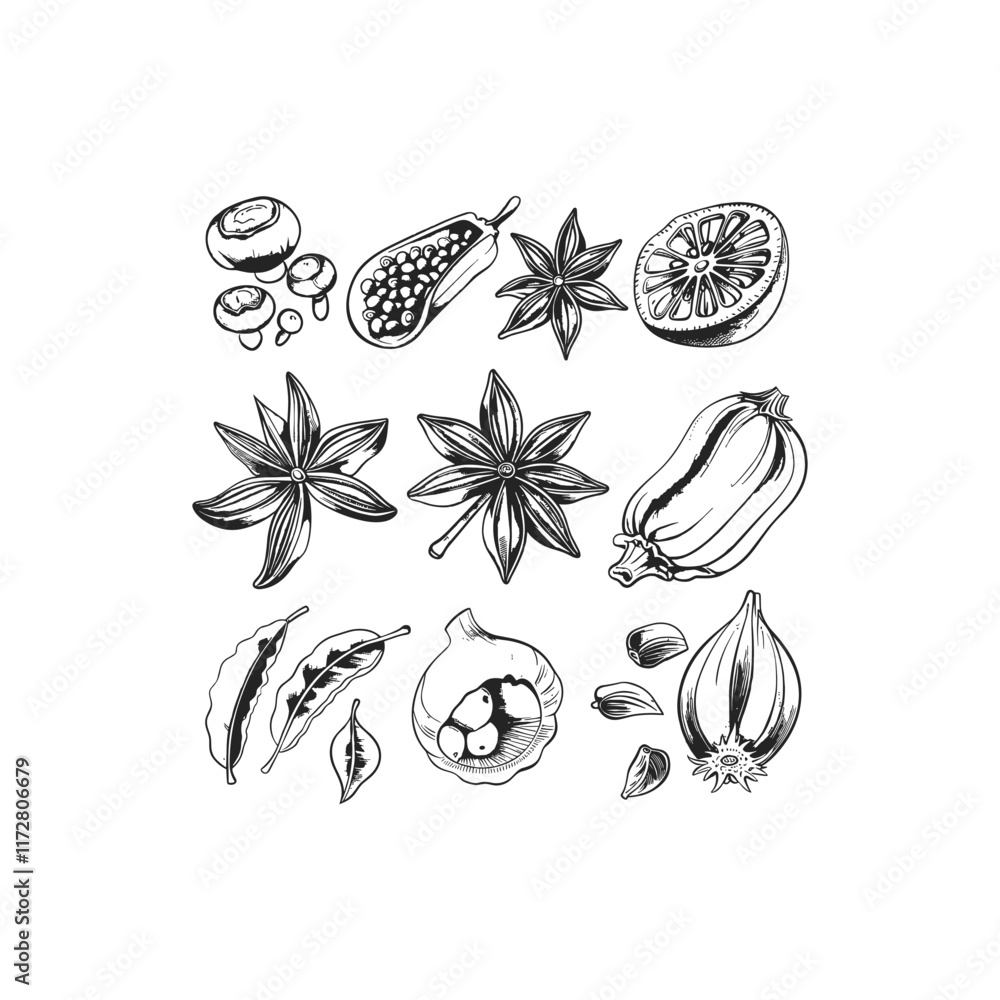 Spices design vector template Spices design vector template