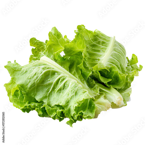 Lettuce leaves