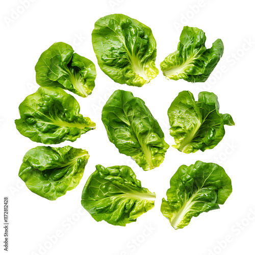 Lettuce leaves