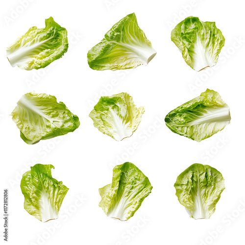 Lettuce leaves
