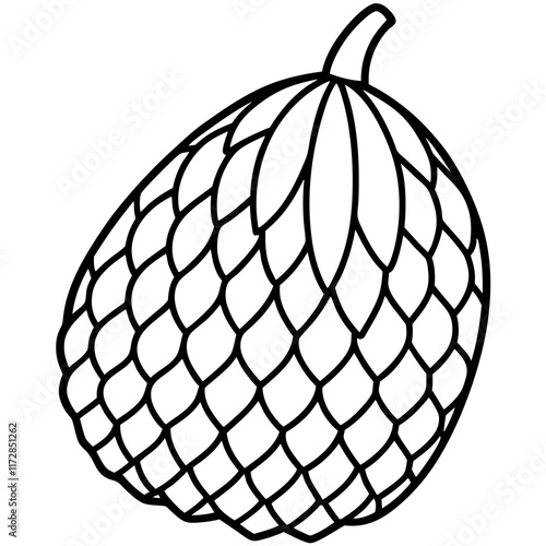 Minimalist Salak Fruit Vector Line Art