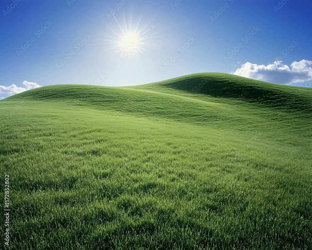 Obraz premium Serene rolling green hills under a bright sunny sky; idyllic pastoral landscape perfect for nature, travel, and environmental themes.