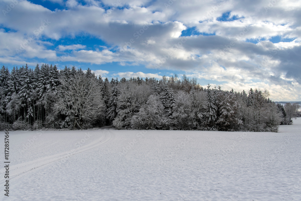 Fototapeta premium Winter im Allgäu