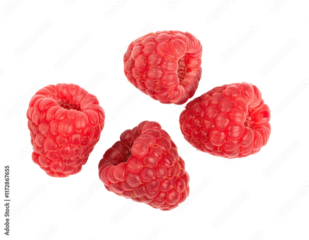 Four fresh raspberries falling on transparent background Four fresh raspberries falling on transparent background