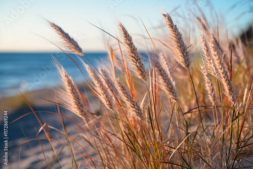 ecological significance of sea oats in sand dunes lies in their ability to prevent coastal erosion, provide habitat for various species, and maintain a harmonious relationship between nature and human