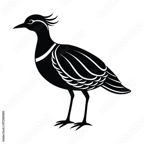 silhouette of a bird vector illustration