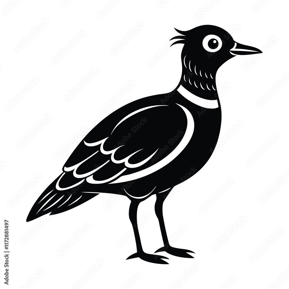Obraz premium peewit bird silhouette vector illustration