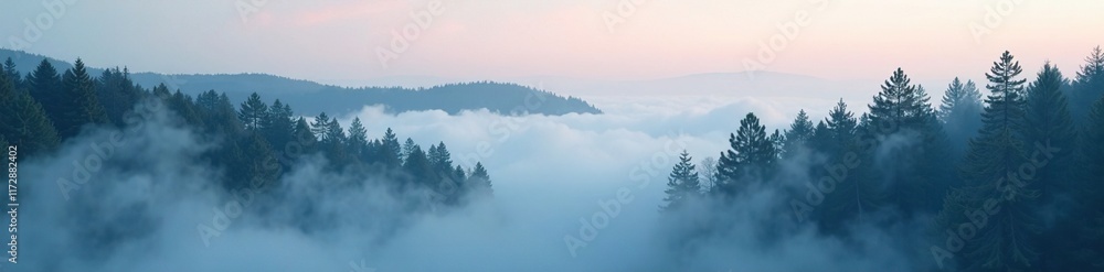 Fototapeta premium Fog wraps around pine trees like a damp shroud, fog, scenery