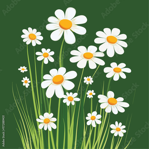 Daisies with yellow centers against a green background.