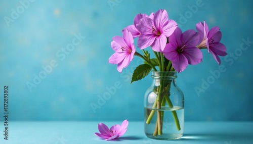 Purple aubrieta blooms in a distressed glass vase on a blue background, petals, flowers