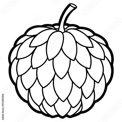 Stylized Balsam Apple in Minimalist Vector