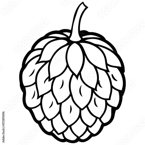 Stylized Balsam Apple in Minimalist Vector