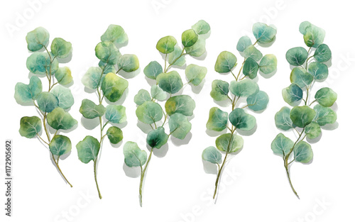 A collection of watercolor eucalyptus leaves arranged artistical photo