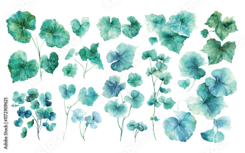 A collection of watercolor illustrations 