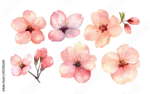 A collection of watercolor illustrations of pink flowers