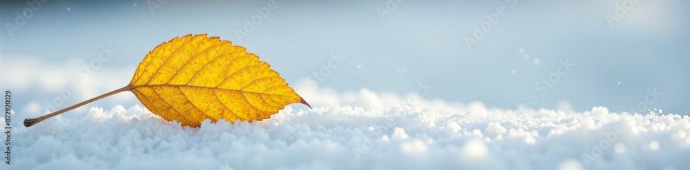 A single yellow leaf resting against a snowy white surface, serene landscape, , peaceful scene, snowflake surface A single yellow leaf resting against a snowy white surface, serene landscape, , peaceful scene, snowflake surface