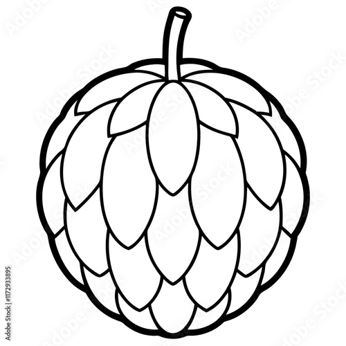 Elegant Balsam Apple Vector Art Design