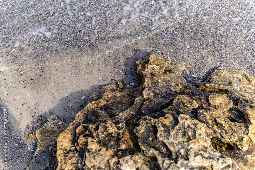 Naklejka premium A close-up view of a rocky shoreline with textured rocks and wet sand