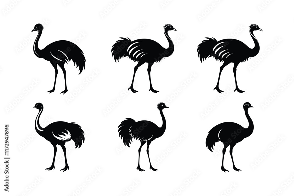 Obraz premium Ostrich silhouette vector art illustration