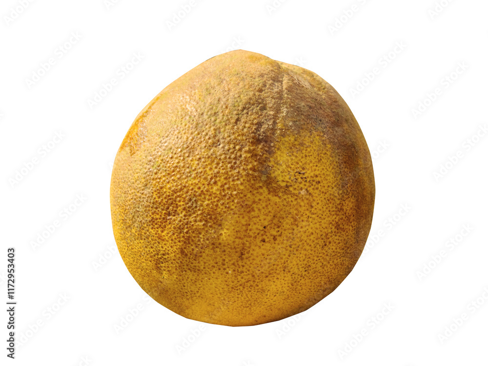 Fototapeta premium Fresh and peeled ripe pomelo(shaddock), grapefruit,Citrus maxima or Citrus grandis isolated on white background, It is the largest citrus fruit from the Rutaceae family. Healthy natural food concept. 