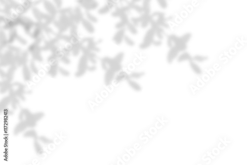 Soft shadows of leaves on a transparent white surface.
