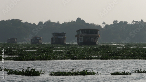 Luxury houseboats plying in the lake of Vembanad in Kerala, India photo