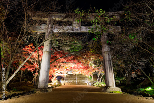 ライトアップされた秋の宝満宮 竈門神社　福岡県太宰府市　Homangu Shrine illuminated in autumn Kamado Shrine. Fukuoka Pref, Dazaifu City. photo