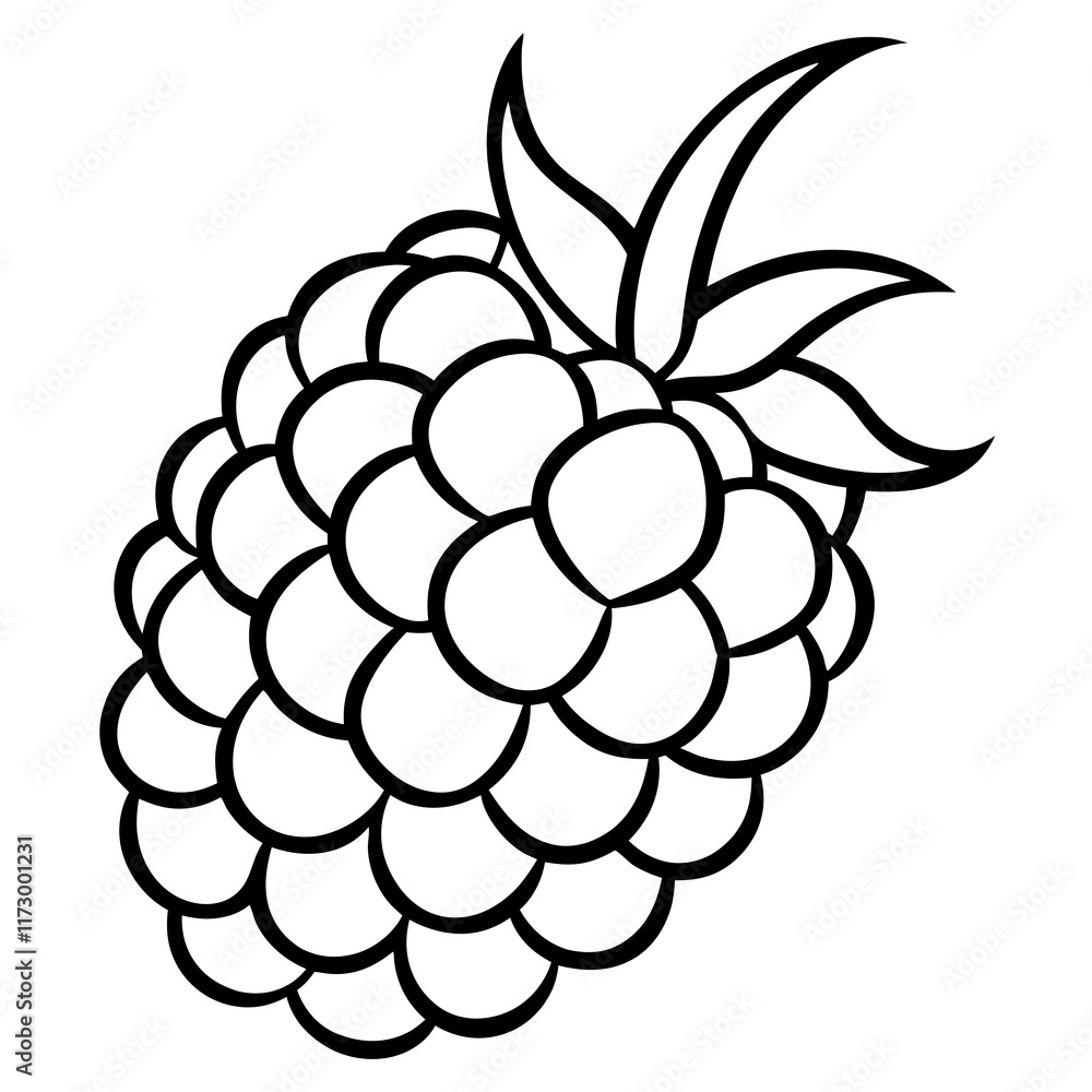 Blackberry line art art vector Blackberry line art art vector