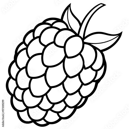 Blackberry line art art vector