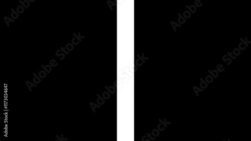 Luma Mask Transitions Pack, Which Consist of 25 Black And White Mask.